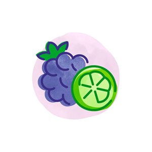 BEVI Mûre et Citron Vert - Blackberry Lime (1x)