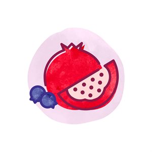 Bevi Pomegrenate Blueberry Unsweetened
